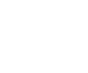 Bizipoz