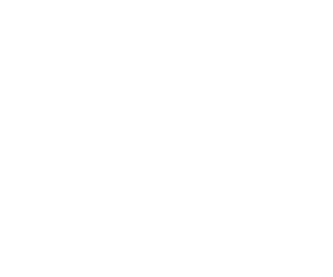 Bizkaia Foru Aldundida